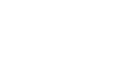 aeronautica militare-logo